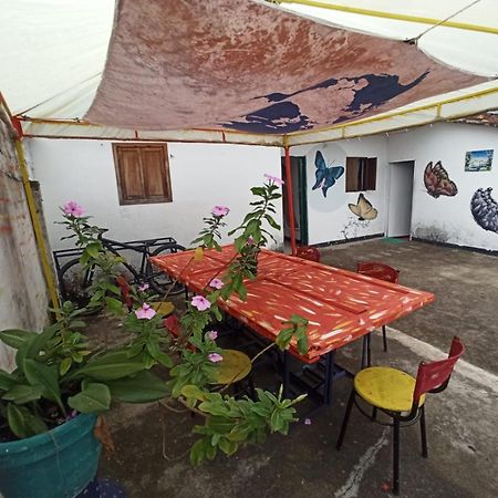 Hostal Donde Jose Guadalupe Ngoại thất bức ảnh
